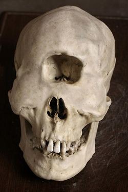 aj kyklopovia boli obrovskí